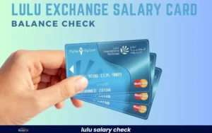 Lulu Salary Check