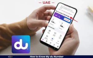 How to Know My du Number