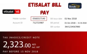 Etisalat bill payment