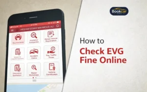 EVG Fine Check