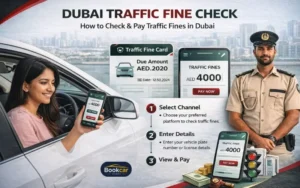 Dubai Fine Check
