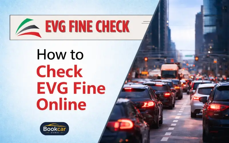 EVG Fine Check