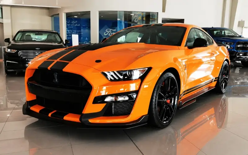 Shelby Model Earned